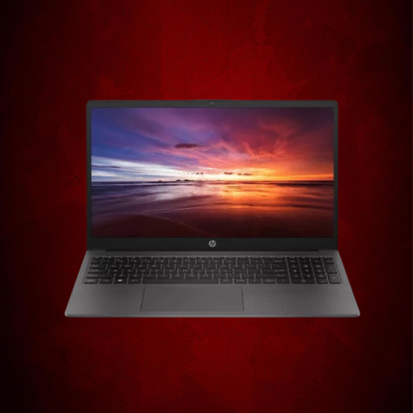 NOTEBOOK HP 255G10 R3-7330U 15" 8GB/256SSD